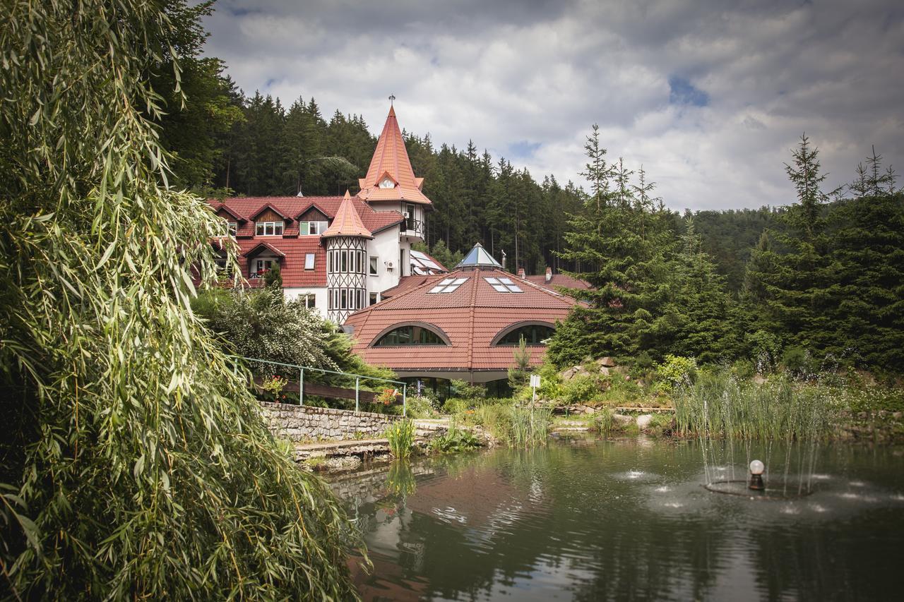 Hotel Las Piechowice Rum bild
